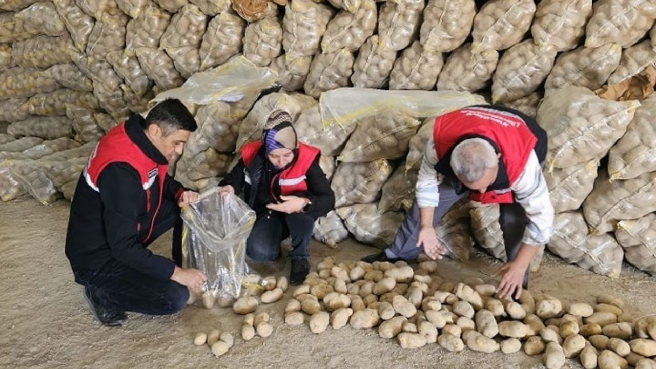 Tunus ve Azerbaycan’a yaklaşık 300 ton patates ihracatı yapıldı