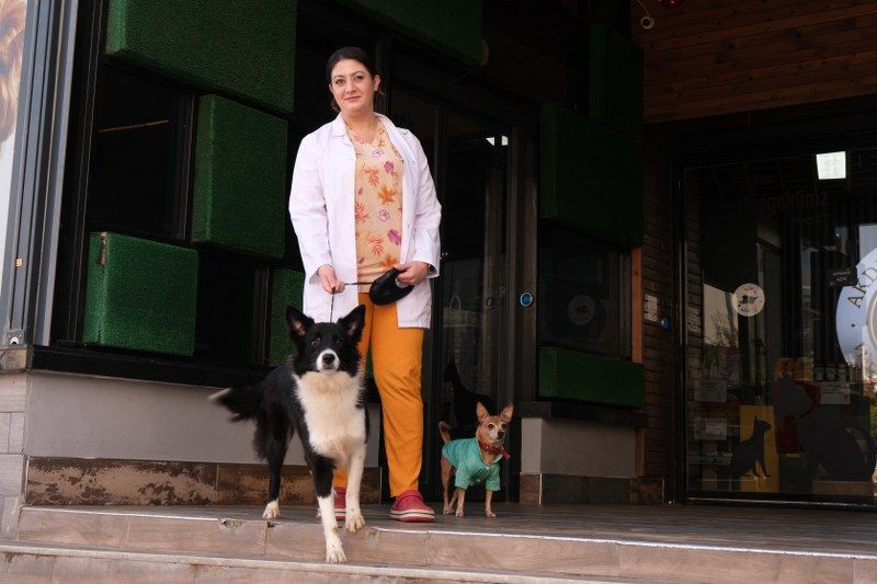 Klinikten Yola Fırlayan Köpeklere Araç Çarptı: Bir Köpek Telef Olurken Diğeri Yaralandı! - Sayfa 9