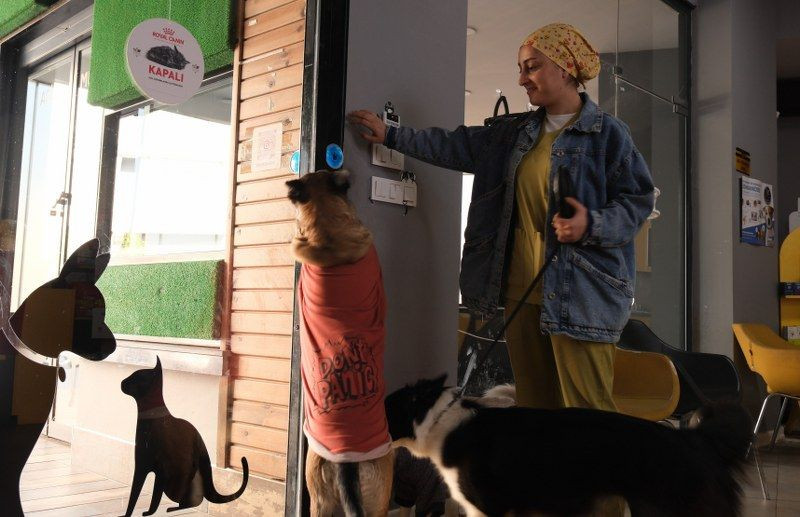 Klinikten Yola Fırlayan Köpeklere Araç Çarptı: Bir Köpek Telef Olurken Diğeri Yaralandı! - Sayfa 6