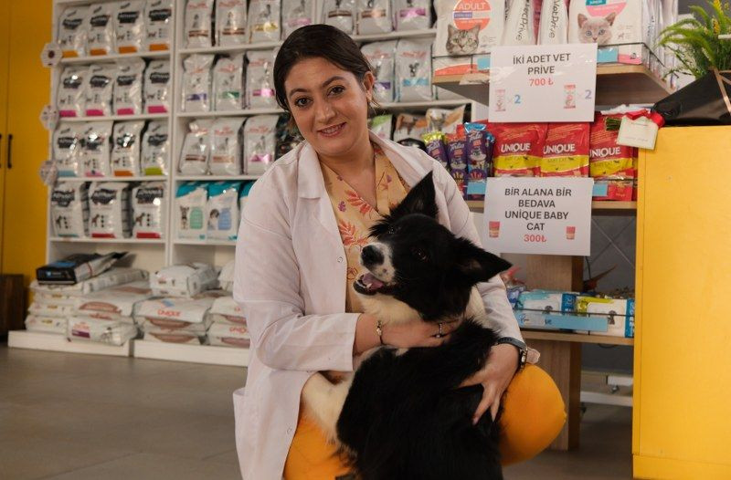 Klinikten Yola Fırlayan Köpeklere Araç Çarptı: Bir Köpek Telef Olurken Diğeri Yaralandı! - Sayfa 1