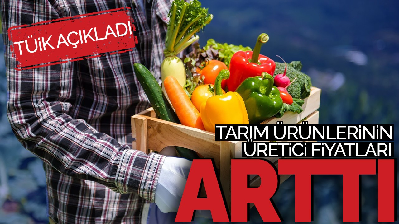 TÜİK açıkladı: Tarım ürünleri üretici fiyatları arttı