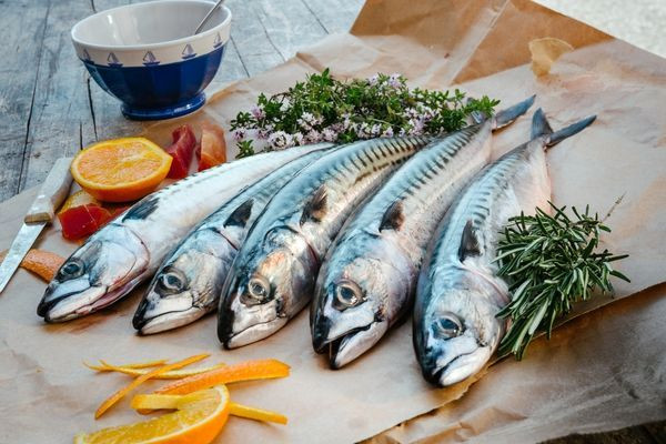 Balık tezgahlarında palamut yerini hamsi, istavrit ve çinekopa bırakıyor - Sayfa 9