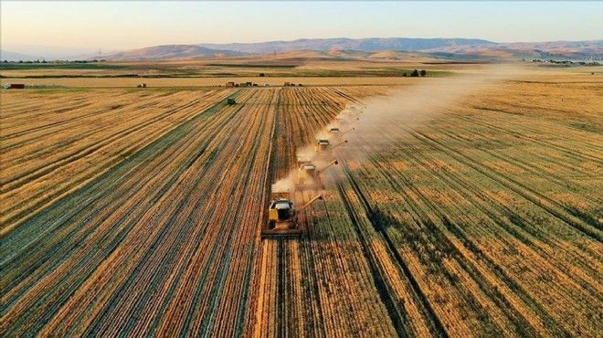 TÜİK açıkladı: Tarım ürünleri üretici fiyatları arttı - Sayfa 16