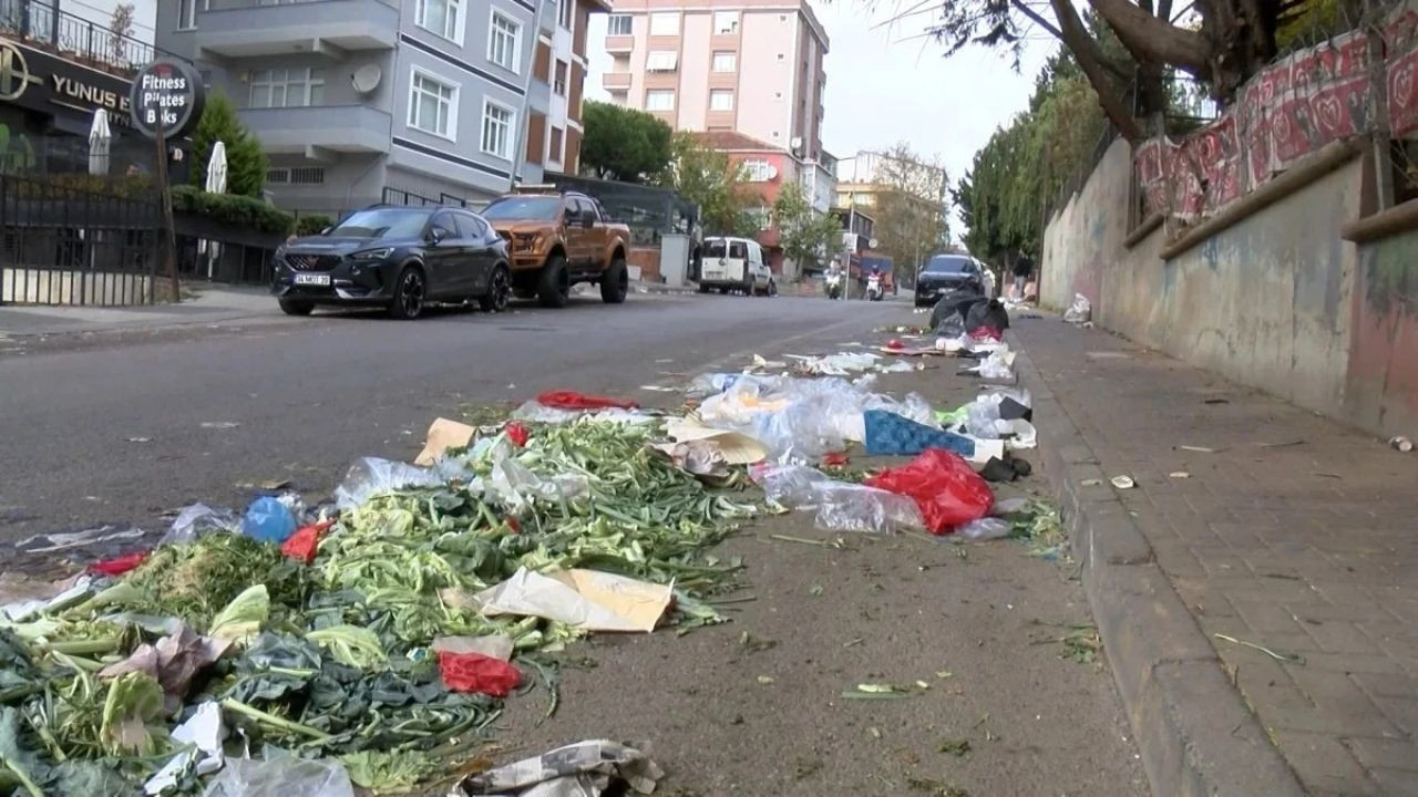 Çöp Kokusundan Çilek Kokusuna: Çöpten Elektrik Üretimi Çilek Serasını Isıtıyor! - Sayfa 7