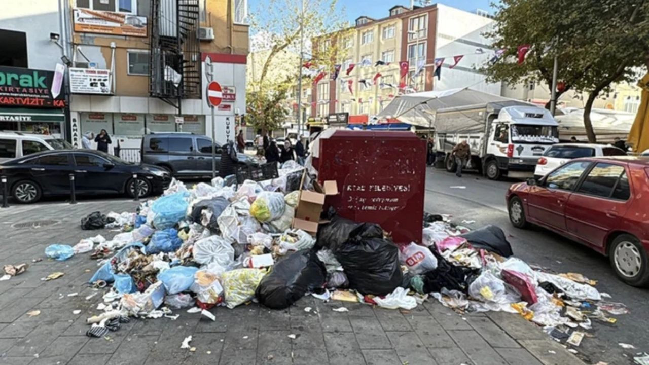 Çöp Kokusundan Çilek Kokusuna: Çöpten Elektrik Üretimi Çilek Serasını Isıtıyor! - Sayfa 6