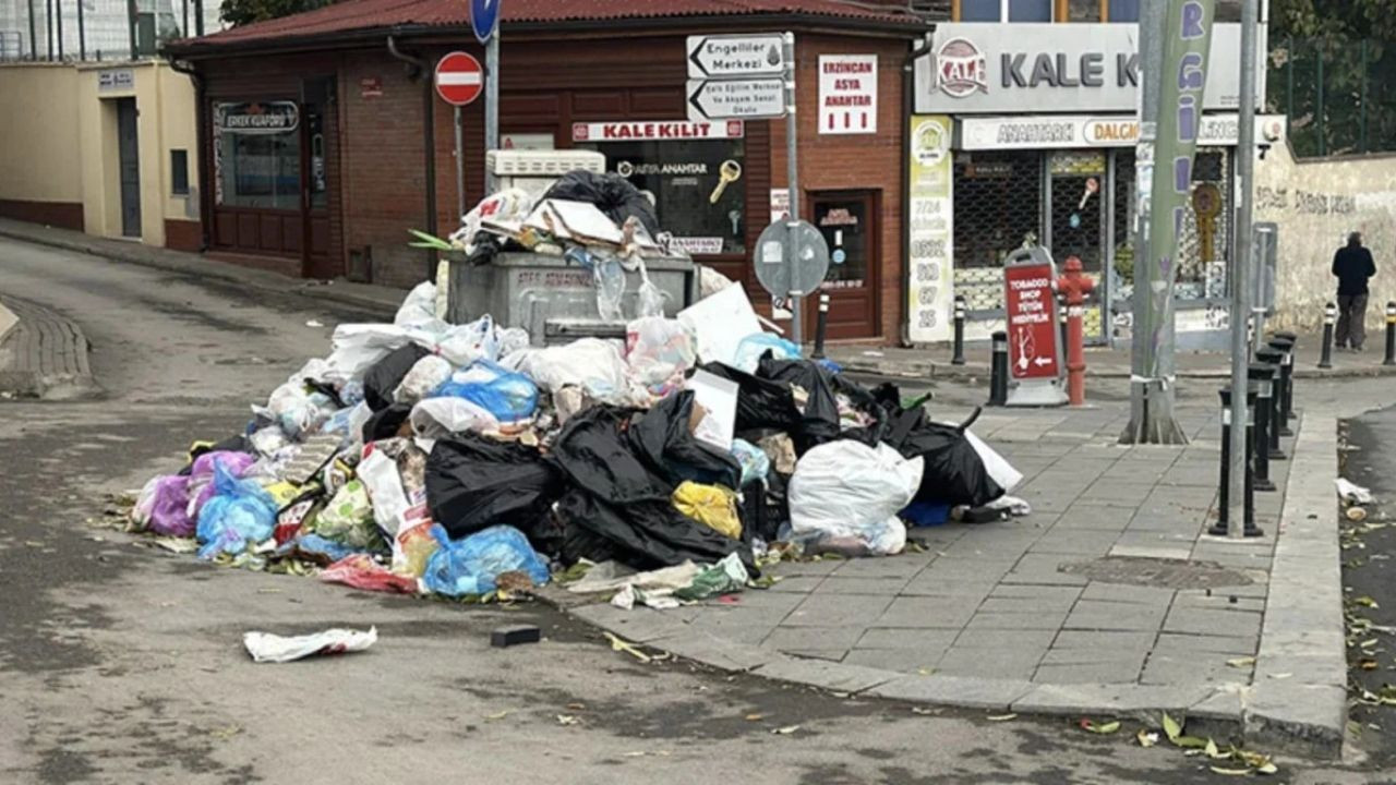 Çöp Kokusundan Çilek Kokusuna: Çöpten Elektrik Üretimi Çilek Serasını Isıtıyor! - Sayfa 5