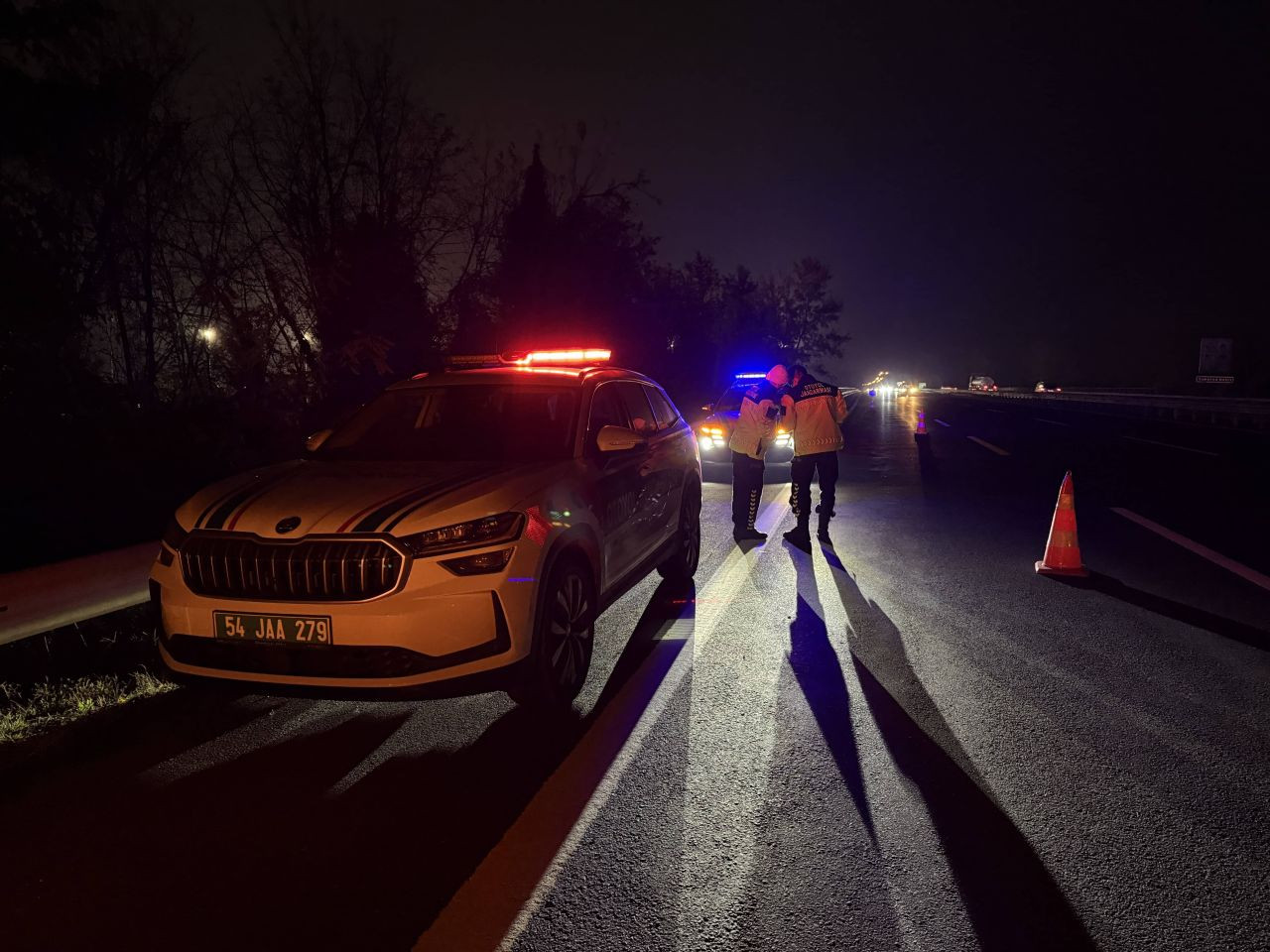 Sakarya'da Otomobil Şarampole Devrildi: 2 Yaralı - Sayfa 3