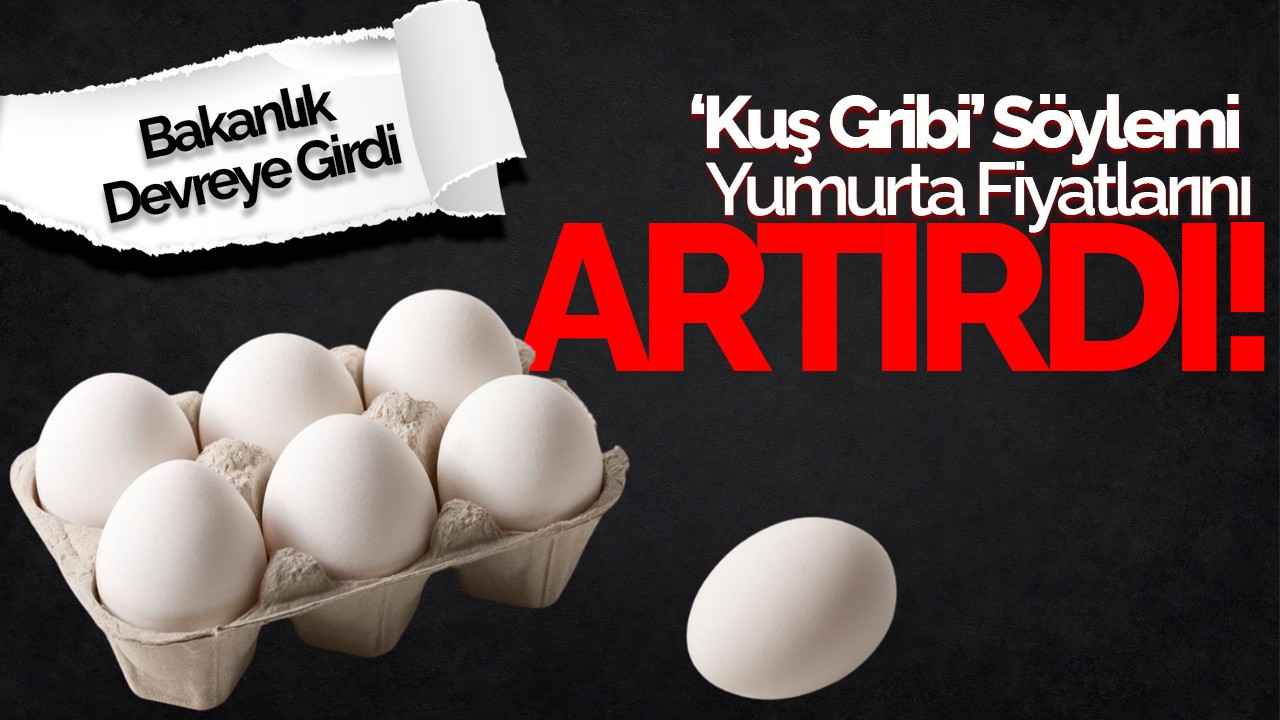 ‘Kuş Gribi’ Söylemi Yumurta Fiyatlarını Artırdı! Bakanlık Devreye Girdi