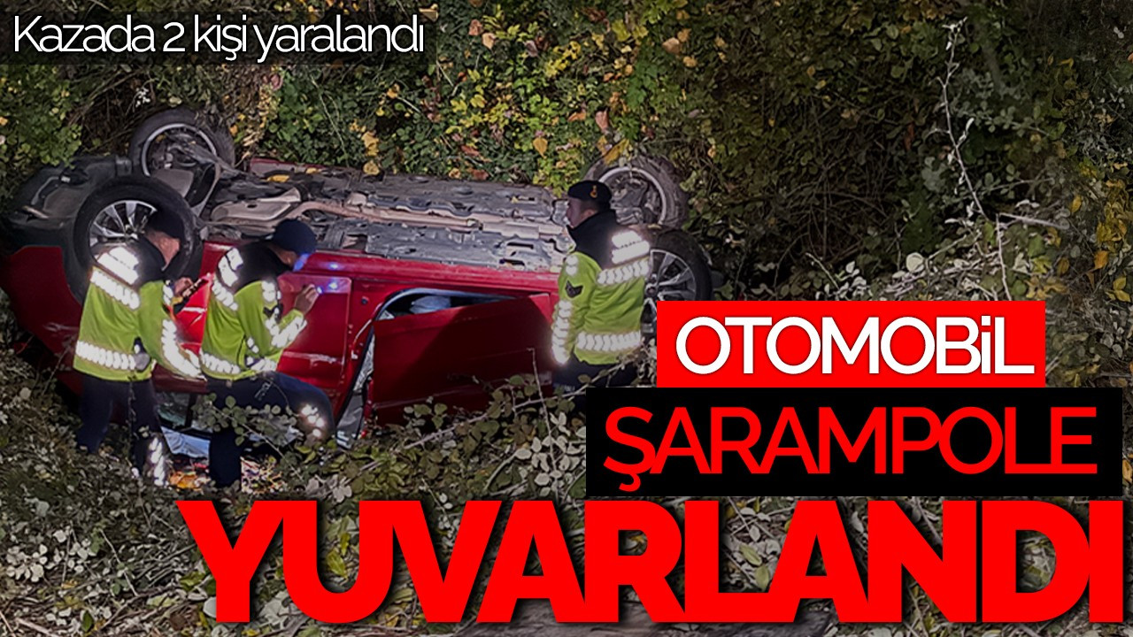 Sakarya'da Otomobil Şarampole Devrildi: 2 Yaralı