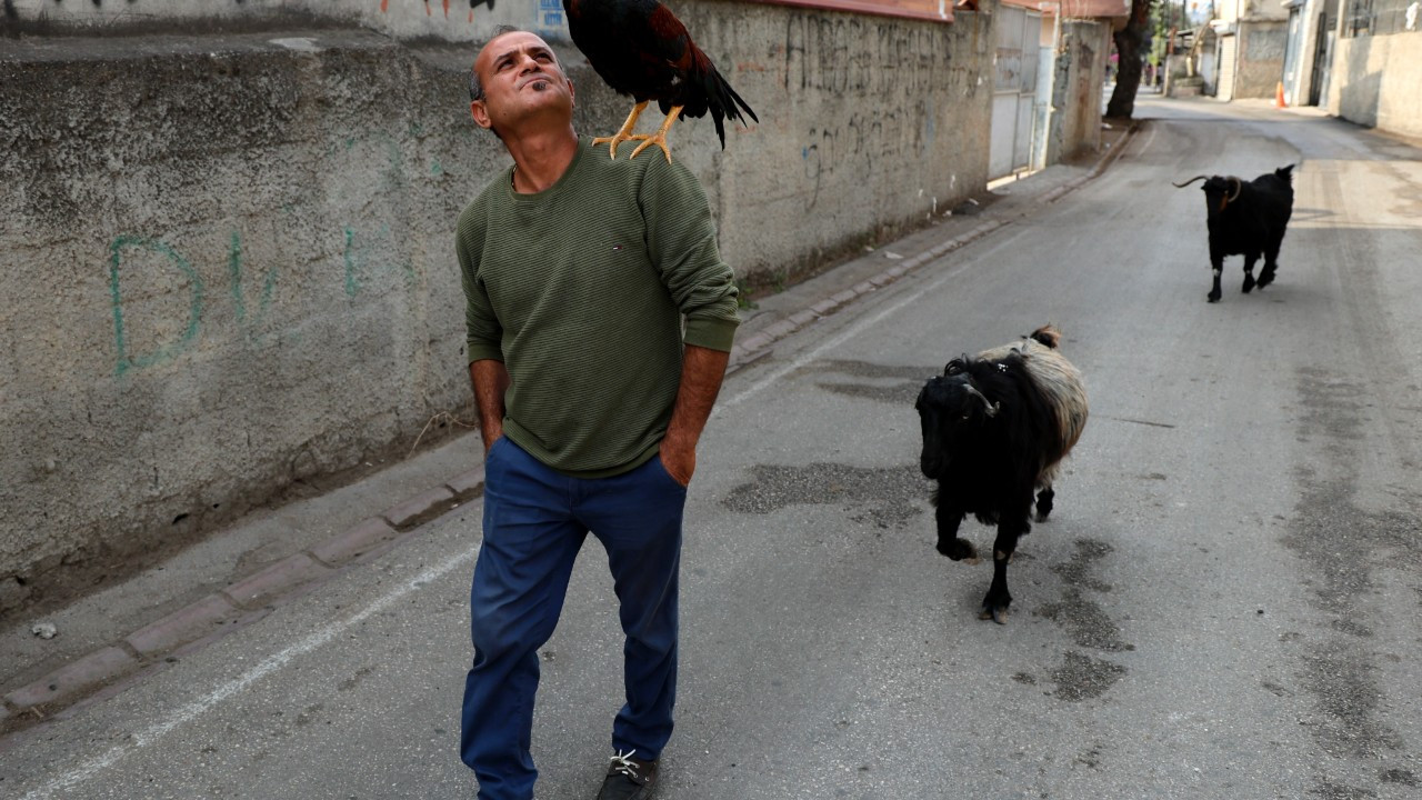 Adana'da Hayvanlarla Arkadaşlık Kuran Adam: Bana Nuh'un Gemisi Diyorlar!