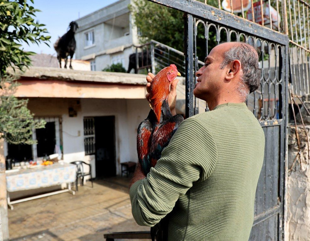 Adana'da Hayvanlarla Arkadaşlık Kuran Adam: Bana Nuh'un Gemisi Diyorlar! - Sayfa 3