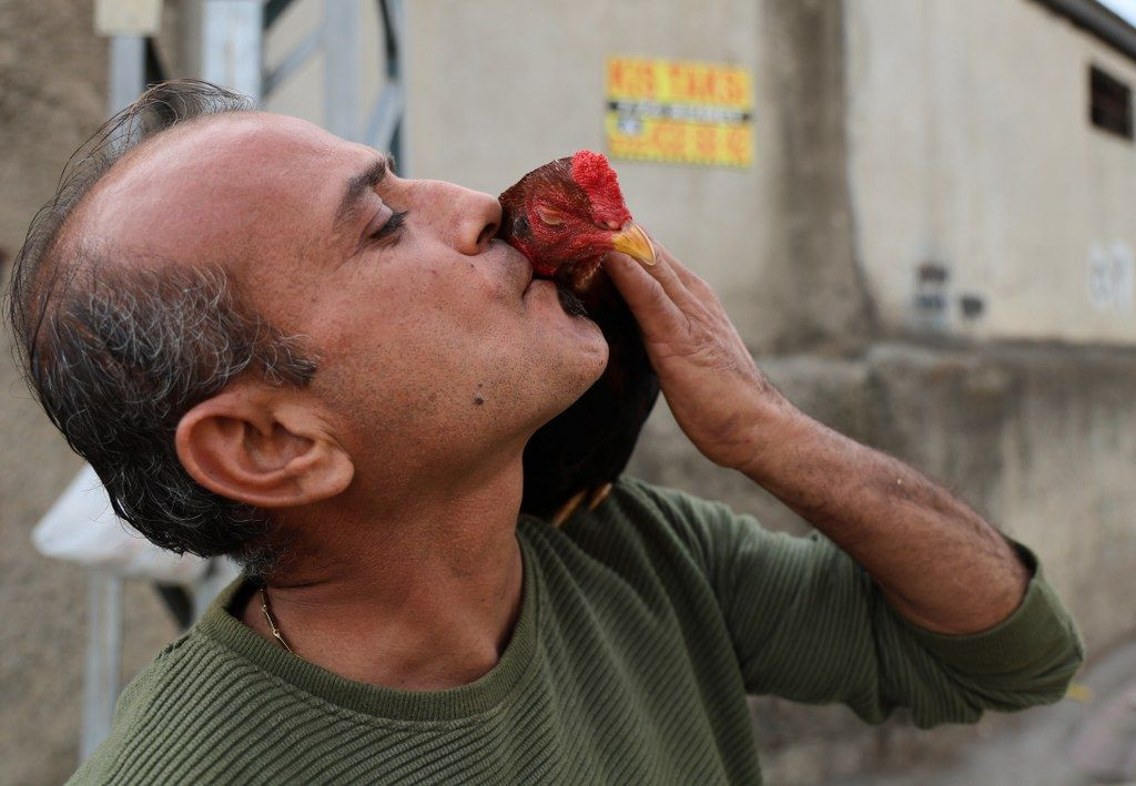 Adana'da Hayvanlarla Arkadaşlık Kuran Adam: Bana Nuh'un Gemisi Diyorlar! - Sayfa 4