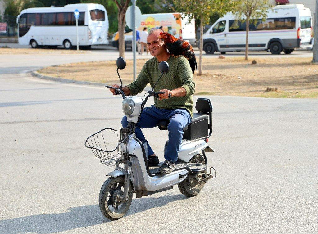 Adana'da Hayvanlarla Arkadaşlık Kuran Adam: Bana Nuh'un Gemisi Diyorlar! - Sayfa 10