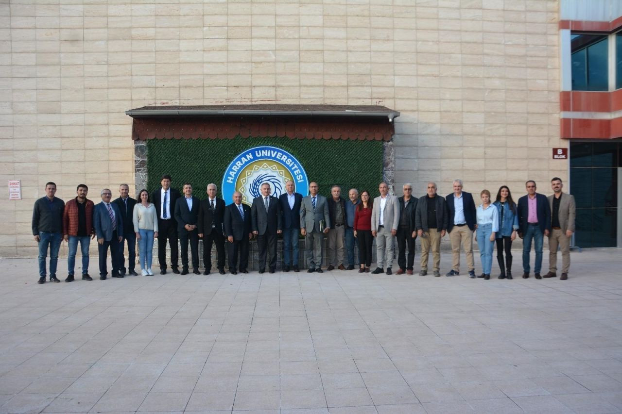 Şanlıurfa'da Doğal Renkli Pamuk Hasadı! - Sayfa 4