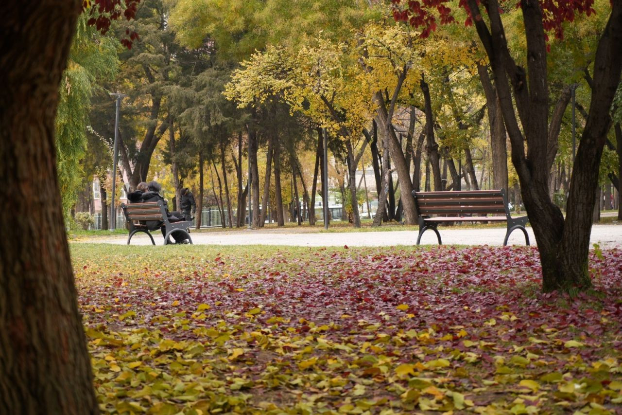 Büyüleyici Manzarasıyla Sonbahar, Başkent Parklarında - Sayfa 2