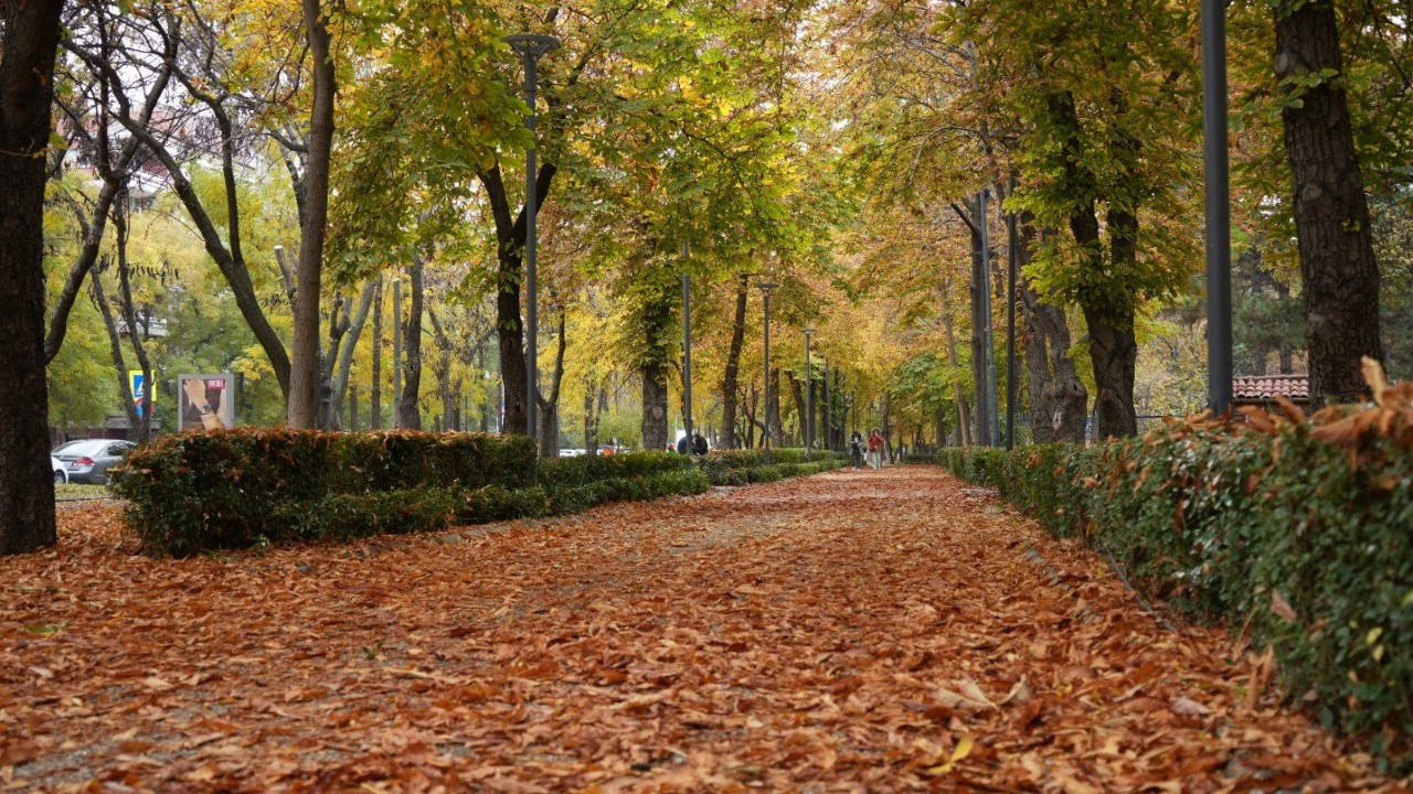 Büyüleyici Manzarasıyla Sonbahar, Başkent Parklarında