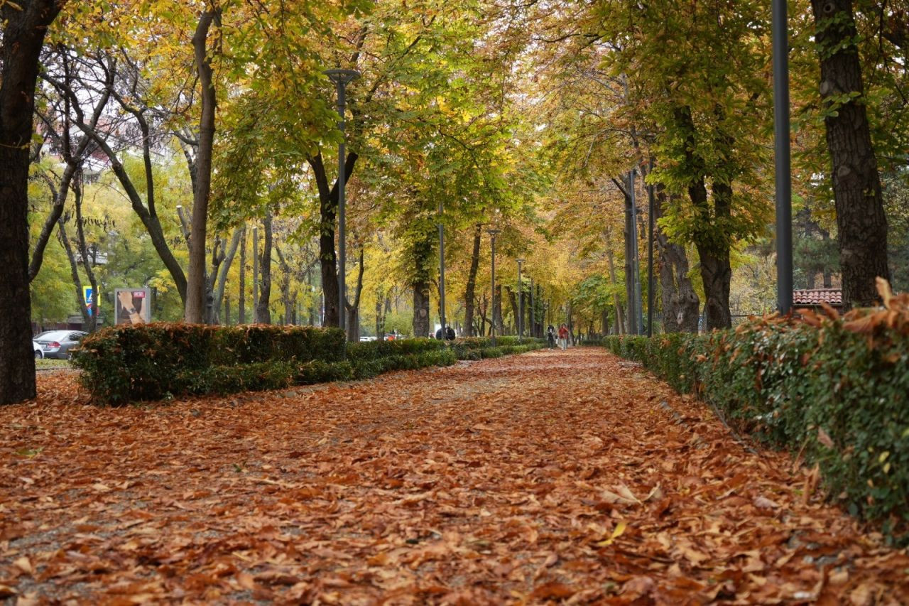 Büyüleyici Manzarasıyla Sonbahar, Başkent Parklarında - Sayfa 3