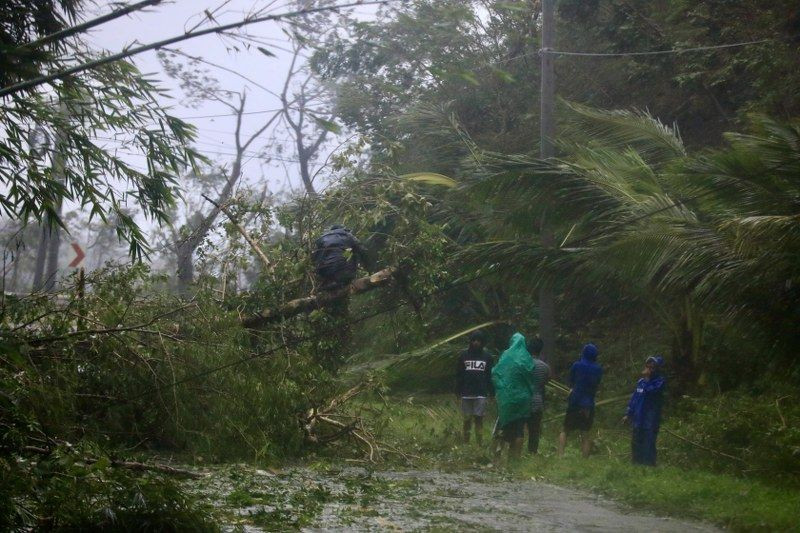 Filipinler'i "Süper Man-yi Tayfunu" Vurdu: 2 Kişi Yaralandı, 1.2 Milyon Kişi Tahliye Edildi - Sayfa 9