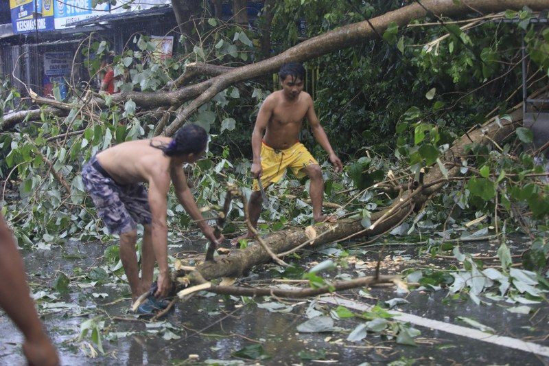 Filipinler'i "Süper Man-yi Tayfunu" Vurdu: 2 Kişi Yaralandı, 1.2 Milyon Kişi Tahliye Edildi - Sayfa 11