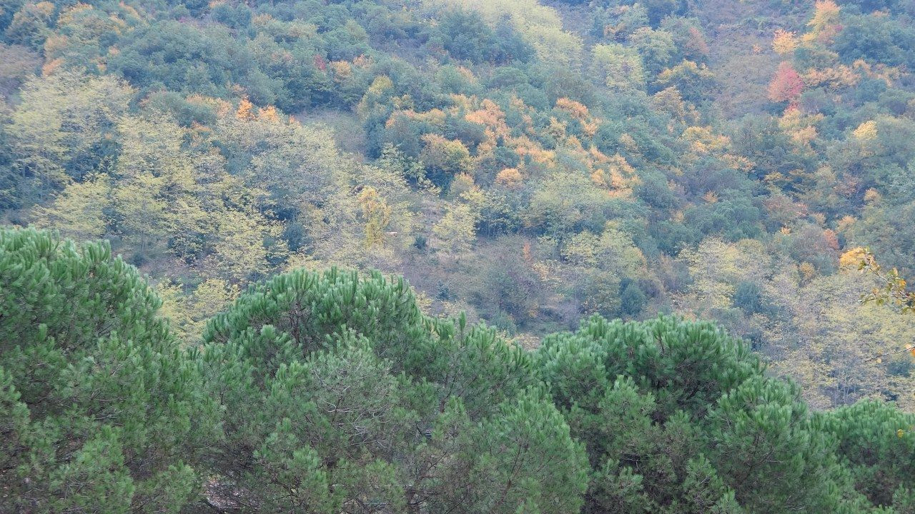 Karadeniz'in İncisi'nde sonbahar güzelliği - Sayfa 6