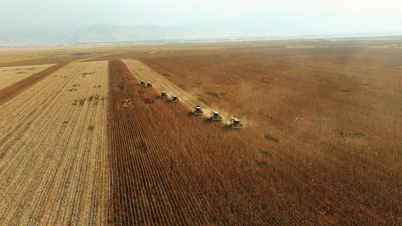 Tarım ve Orman Bakanlığı'ndan ''33 soruda planlı üretim rehberi'' - Sayfa 5