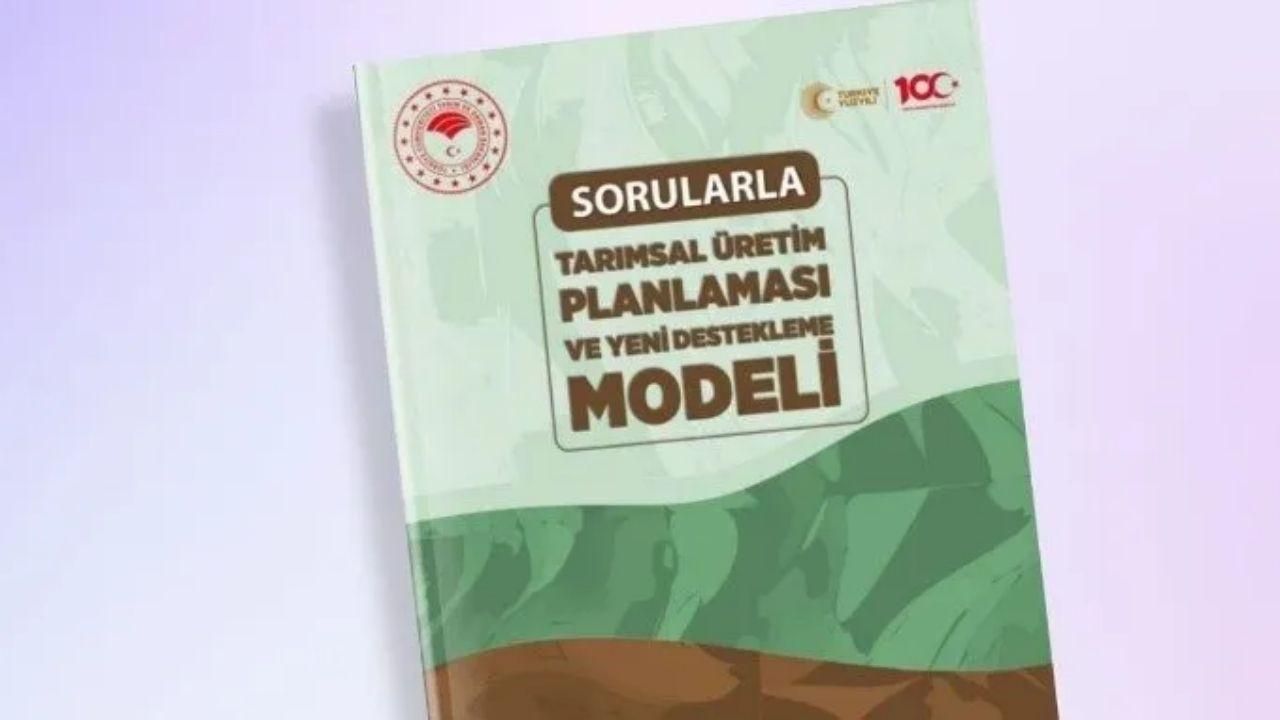 Tarım ve Orman Bakanlığı'ndan ''33 soruda planlı üretim rehberi'' - Sayfa 2