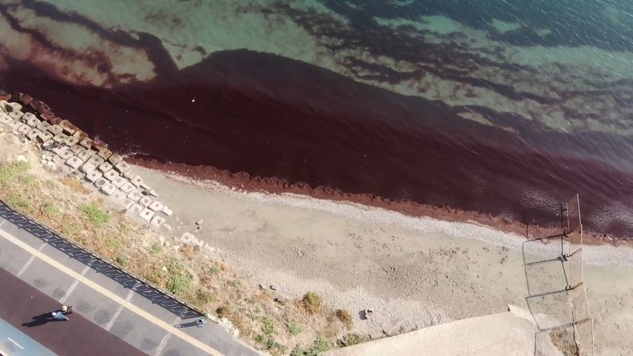 Kızıllık Denizin Her Yanını Sardı: Görenler Tabloya Benzetti..