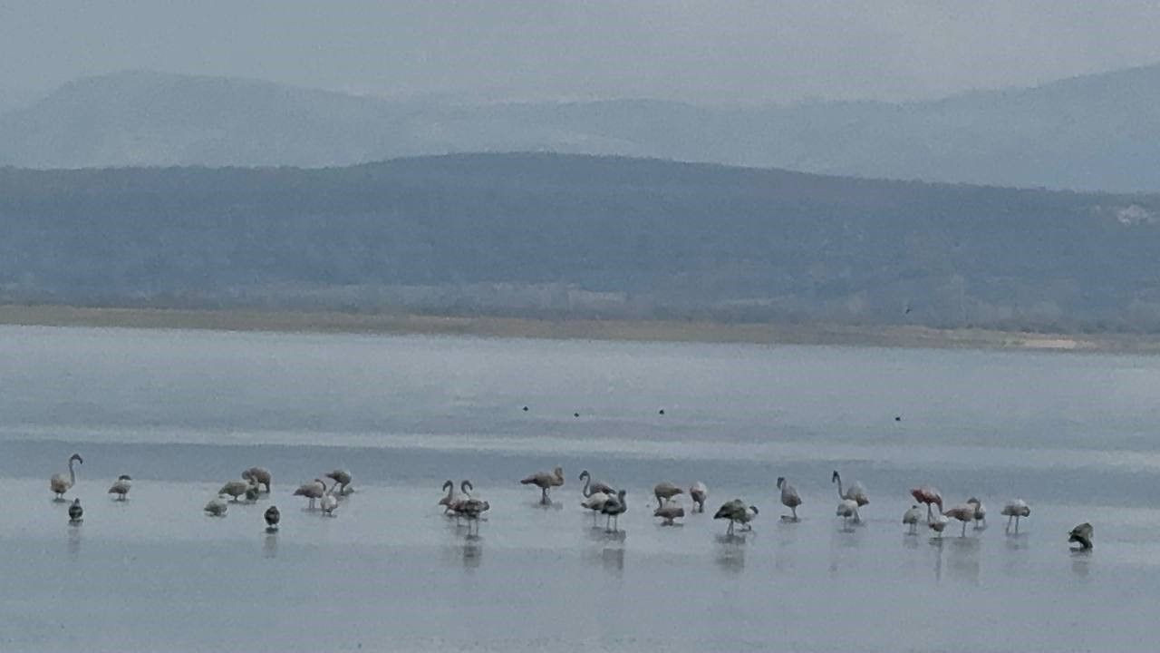Eğirdir Gölü'nde Tehlike Çanları: Su Seviyesi 4 Metreye Kadar Düştü! - Sayfa 7