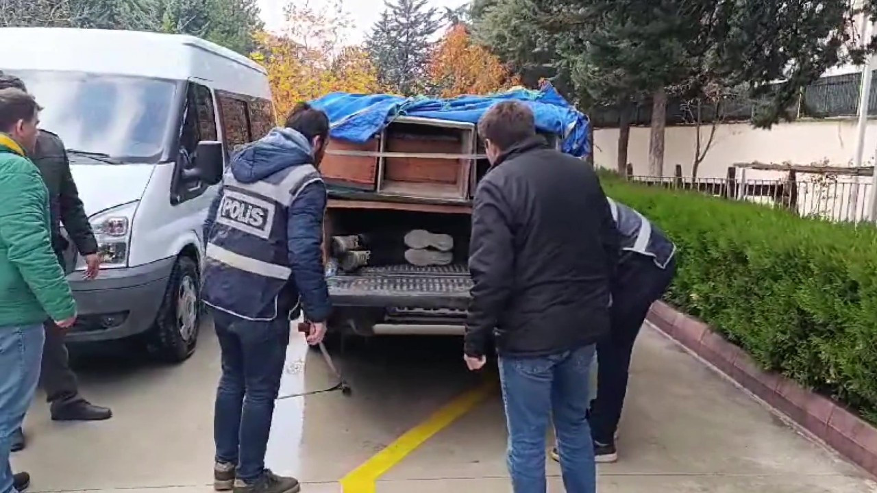 Arı Kovanlarının Altında Şok: Amasya'da 4 Kaçak Göçmen Yakalandı