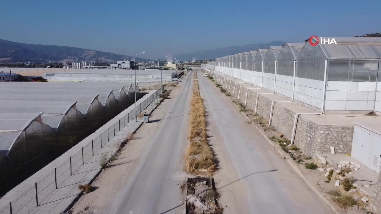 Saraköy Jeotermal Kaynaklı Sera Organize Tarım Bölgesinde Üretim Başladı - Sayfa 5