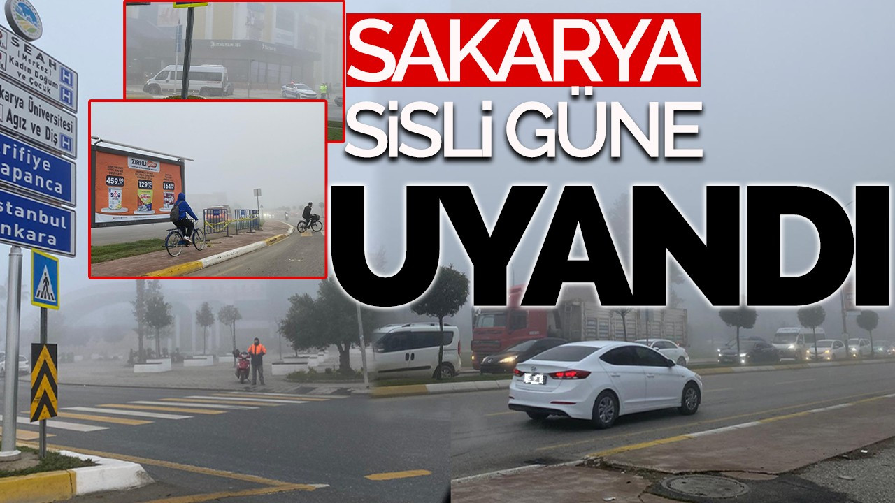 Sakarya güne sisle uyandı