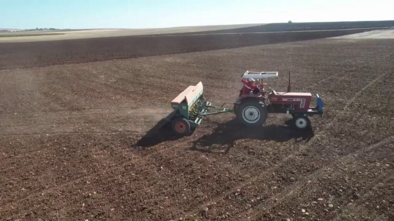 Ata Tohumları Mezopotamya'nın Verimli Topraklarıyla Yeniden Buluştu - Sayfa 4