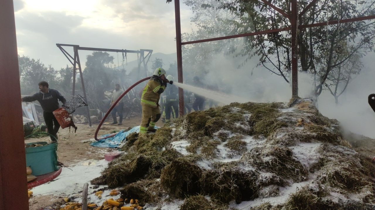 Bursa’da Bahçedeki Saman Yığını Alev Alev Yandı - Sayfa 1