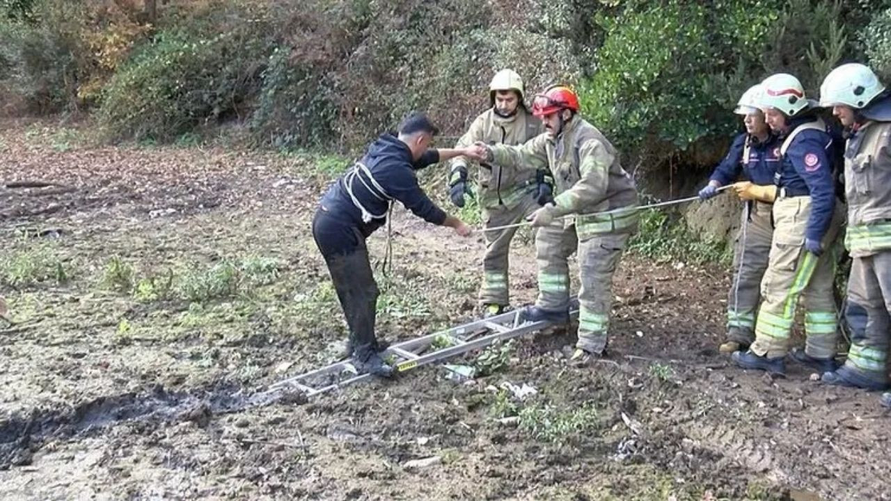 Balık Tutmak İstedi Bataklığa Saplandı! - Sayfa 9