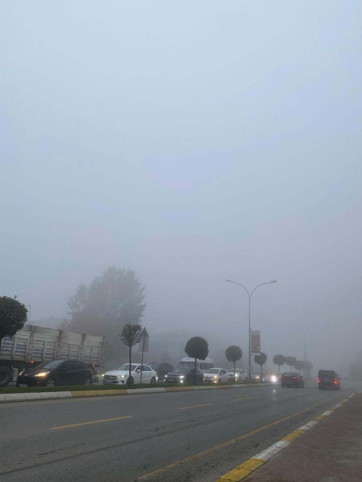 Sakarya güne sisle uyandı - Sayfa 10