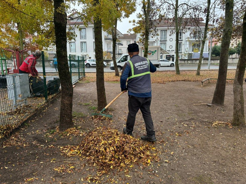 Serdivan'da sonbahar temizliği, belediye ekipleri sahada - Sayfa 2