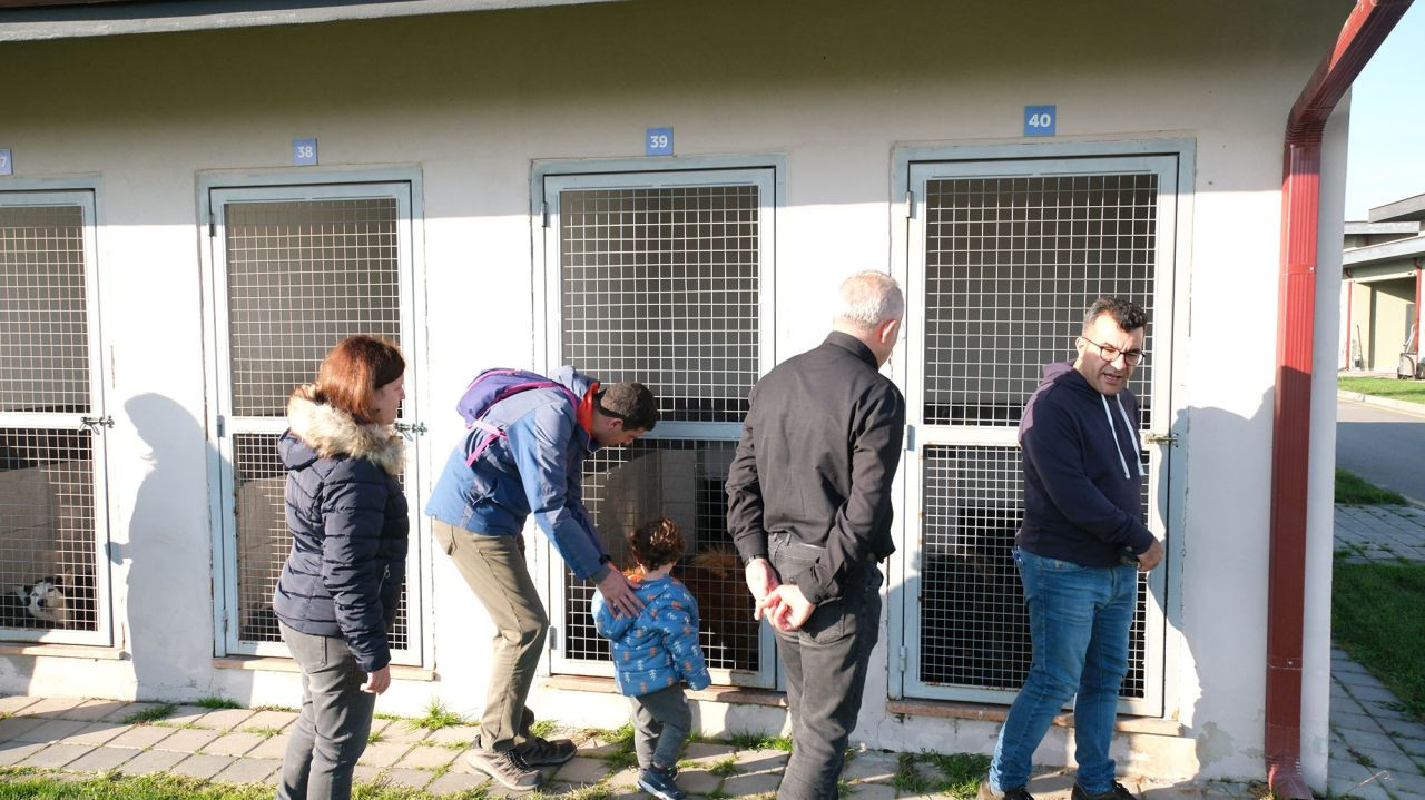 Büyükşehir’den Akademisyenlere Tarih ve Doğa Turu: Sokak Hayvanlarına Özel Ziyaret - Sayfa 3