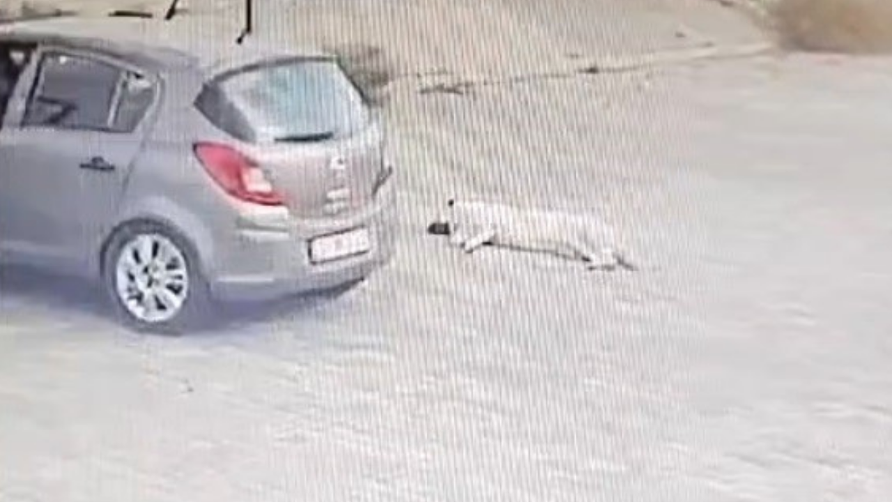 Bodrum'da Otoparkta Yatan Köpeğe Araçla Kasten Çarpma Anı Kamerada