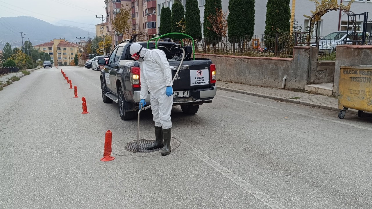 Rögarlarda ilaçlama çalışması yapıldı