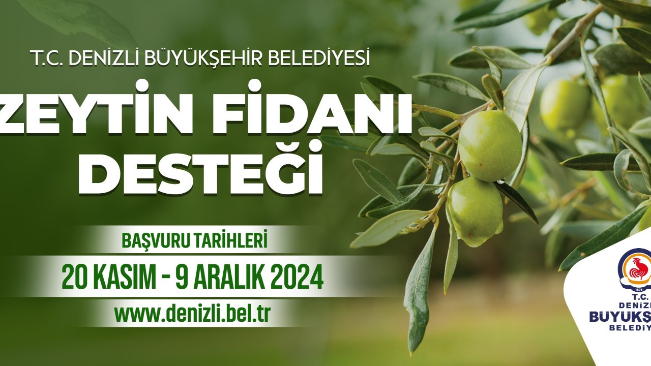 Denizli Büyükşehir çiftçilere 50 bin zeytin fidanı dağıtacak