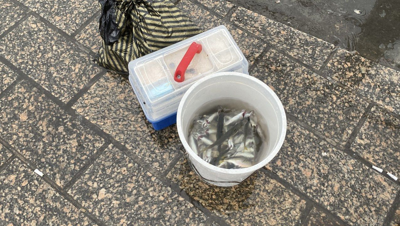 Üsküdar’da Balıkçılar Lodosa Rağmen Oltalarını Bırakmadı - Sayfa 4