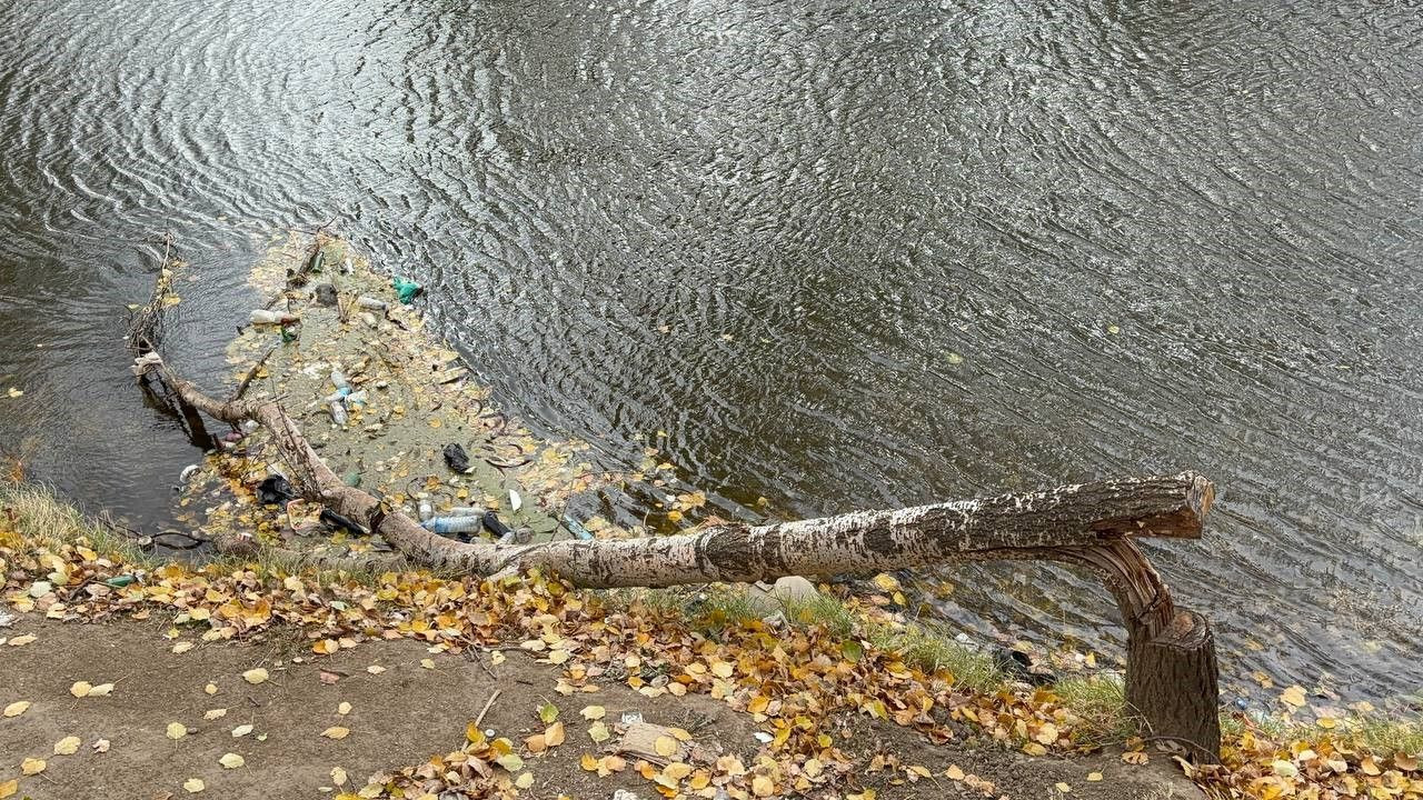 Edirne'de Yağışların Yetersizliği Sebebiyle Tunca Nehri'nde Kuraklık Var! - Sayfa 5