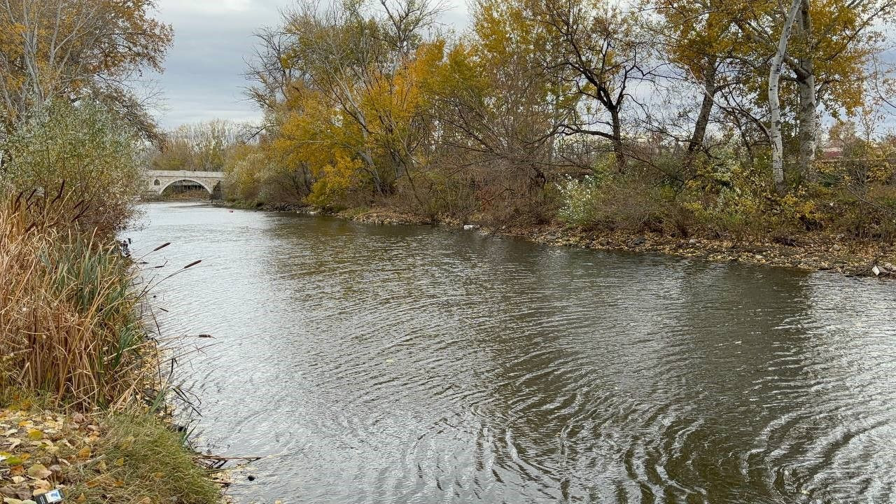 Edirne'de Yağışların Yetersizliği Sebebiyle Tunca Nehri'nde Kuraklık Var! - Sayfa 7