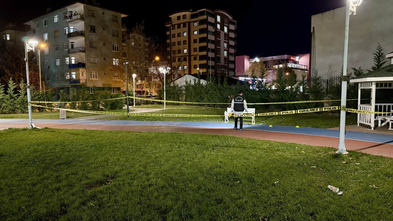 Tokat Millet Bahçesi'nde 'Yan Baktın' Tartışması Kanlı Bitti: 3 Yaralı - Sayfa 3