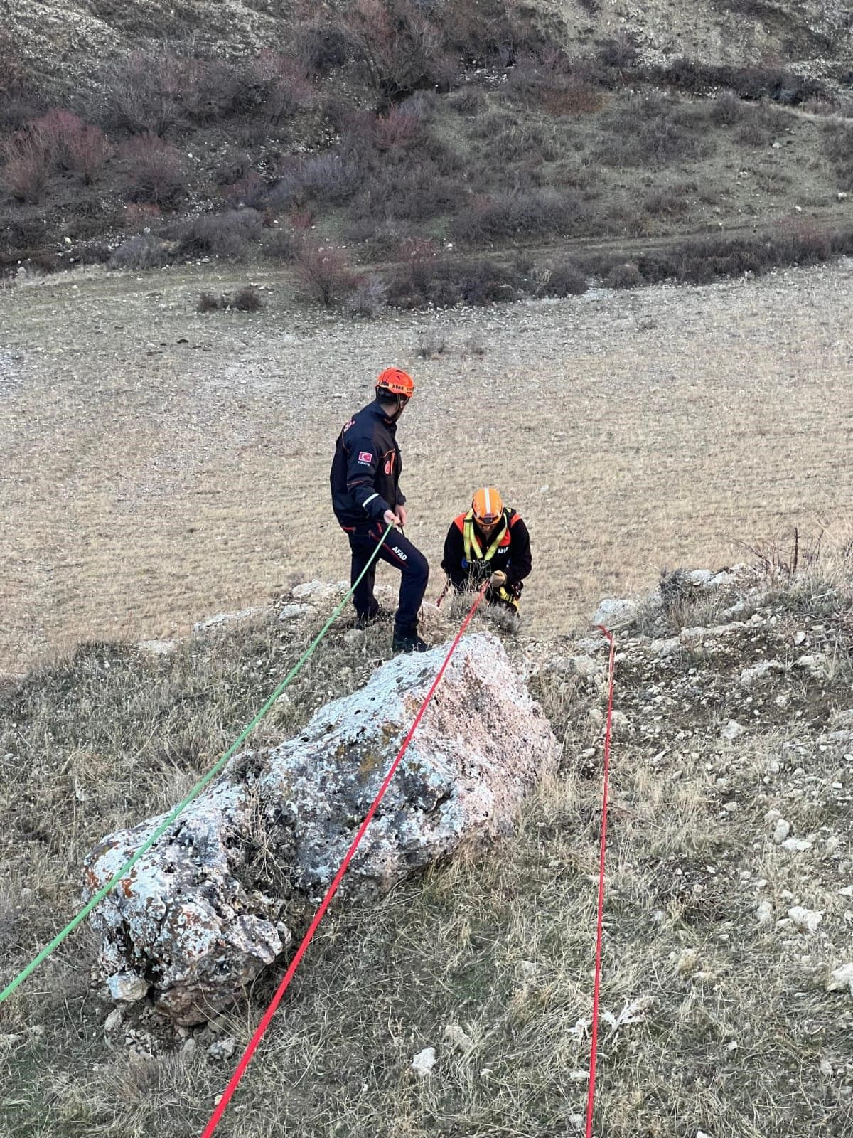 Muş'ta Kayalıklarda Mahsur Kalan Keçiler AFAD Tarafından Kurtarıldı - Sayfa 1