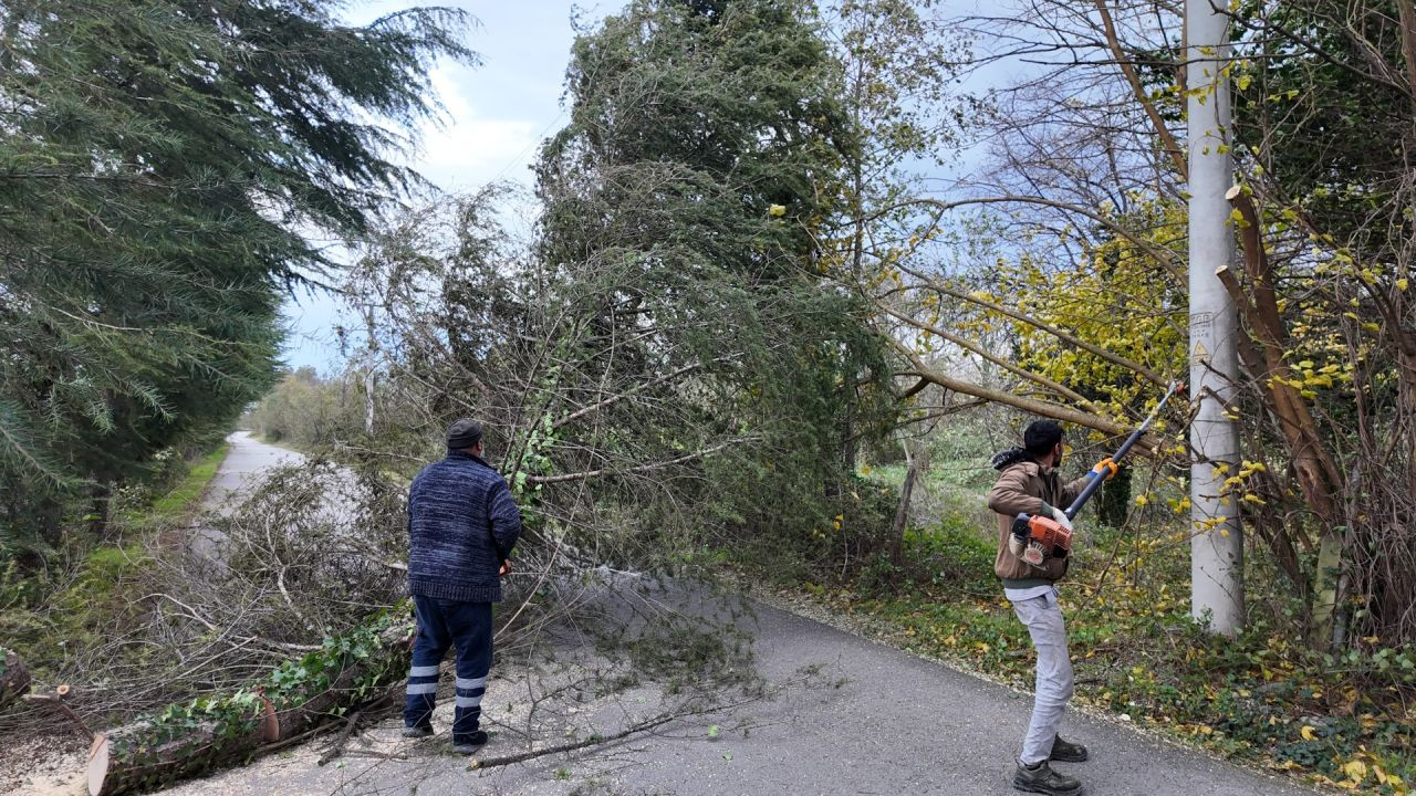 Sapanca’da fırtına etkili oldu - Sayfa 5