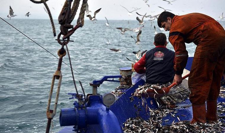 FAO Akdeniz Genel Balıkçılık Komisyonu’ndan Türkiye’ye 4. kez “Tam Uyum Ödülü” - Sayfa 5