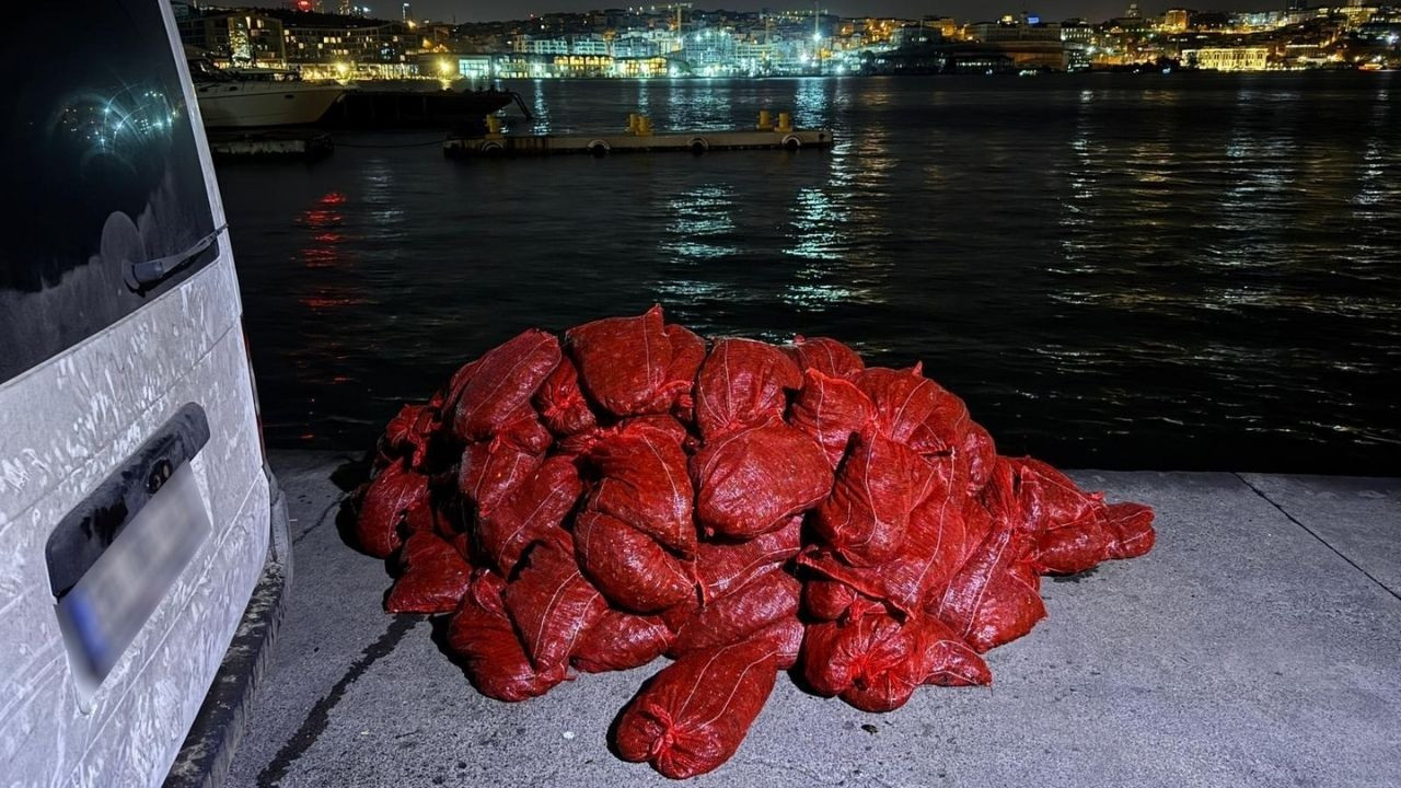 Beyoğlu'nda 3 Ton Kaçak Midye Ele Geçirildi