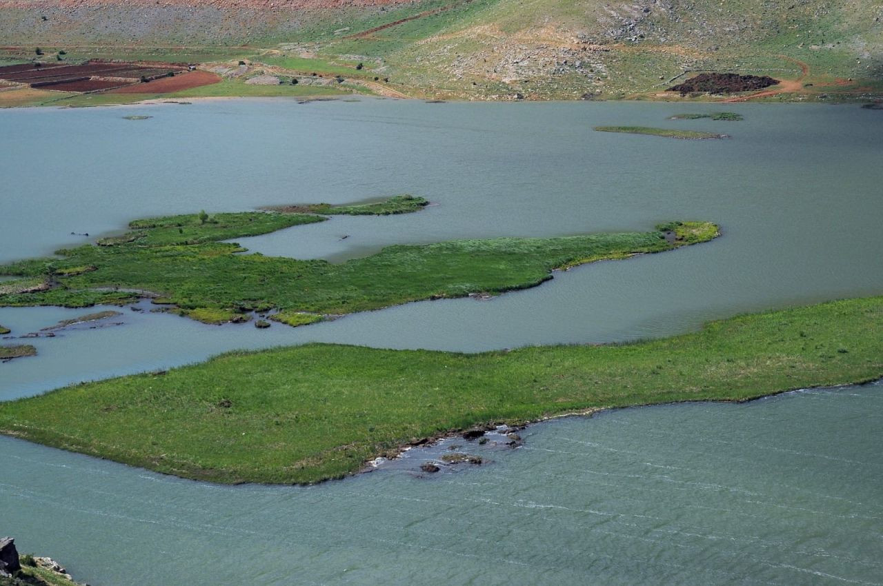 Adıyaman'da Yüzen Adaların Kurtarılması İçin Çalışma Başlatıldı - Sayfa 1