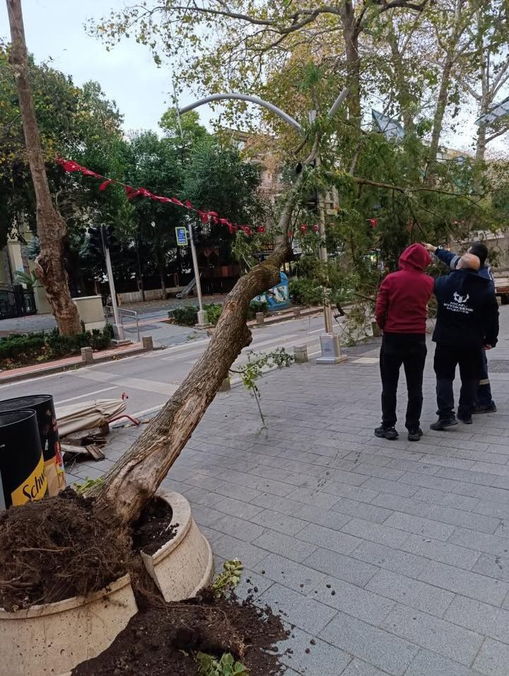 Kocaeli'de deniz taşarken 2 tekne battı, ağaçlar ise yerlerinden söküldü - Sayfa 7